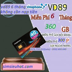 SIM 4G Vinaphone VD89 Miễn Phí DATA Và Nghe Gọi 6 Tháng Không Cần Nạp Tiền